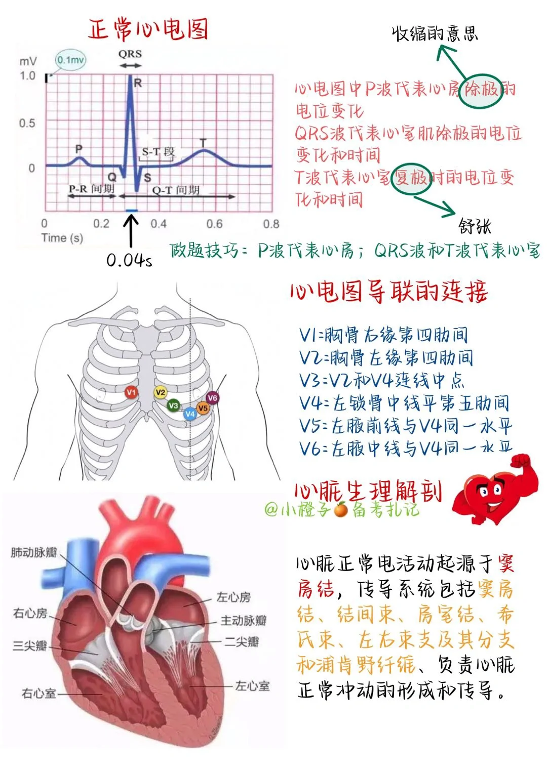 📖手写笔记｜心电图大合集✅有谁还不会🙋