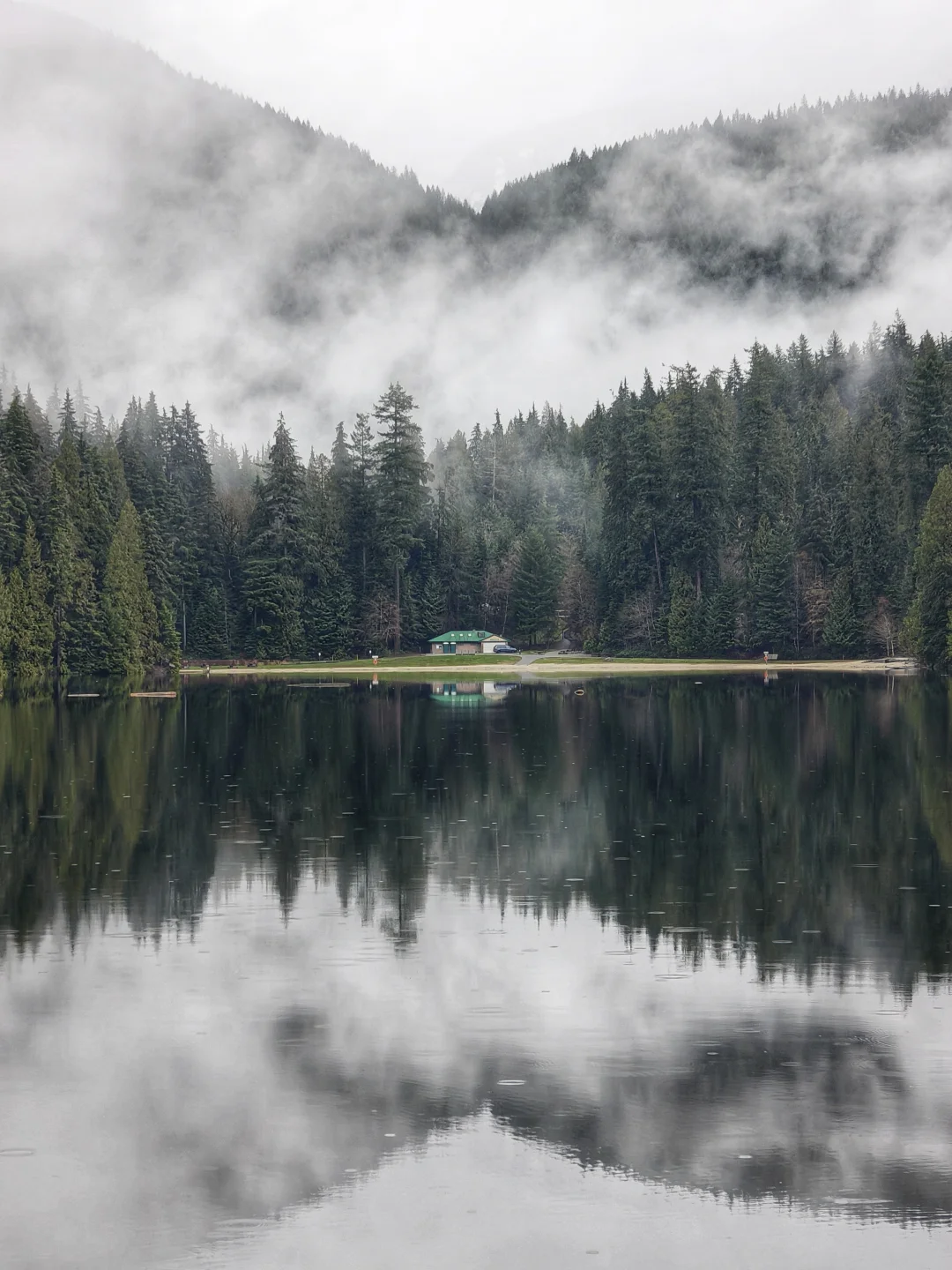 拍出了中国水墨画的神韵