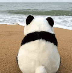 到了存表情包的快乐时刻啦！