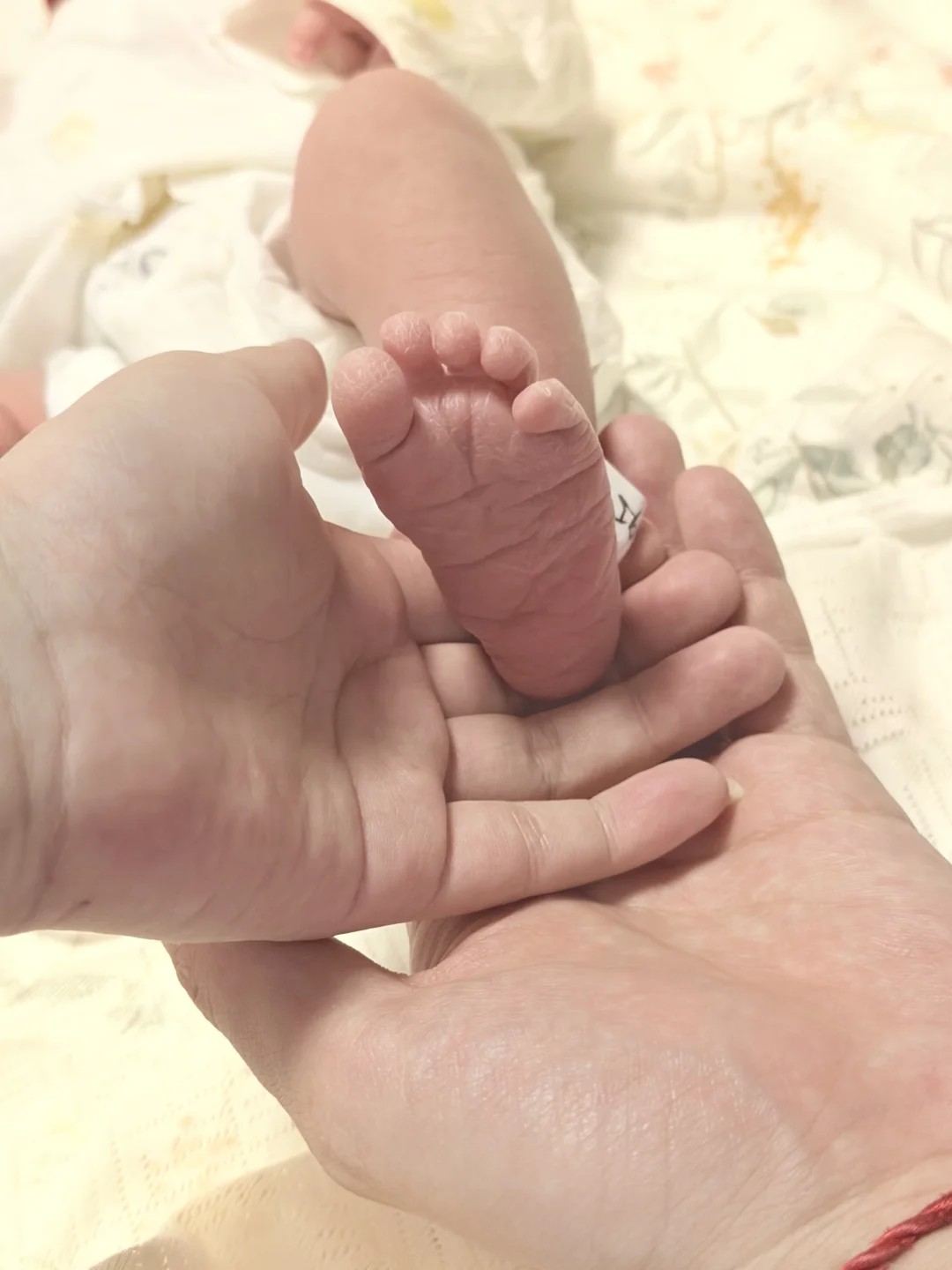 母子平安🌹🌹🌹