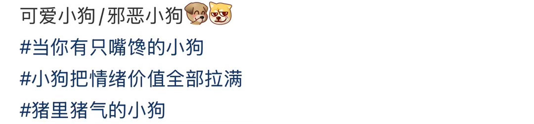 豆豆仔从狗豆变猪豆 ​​​