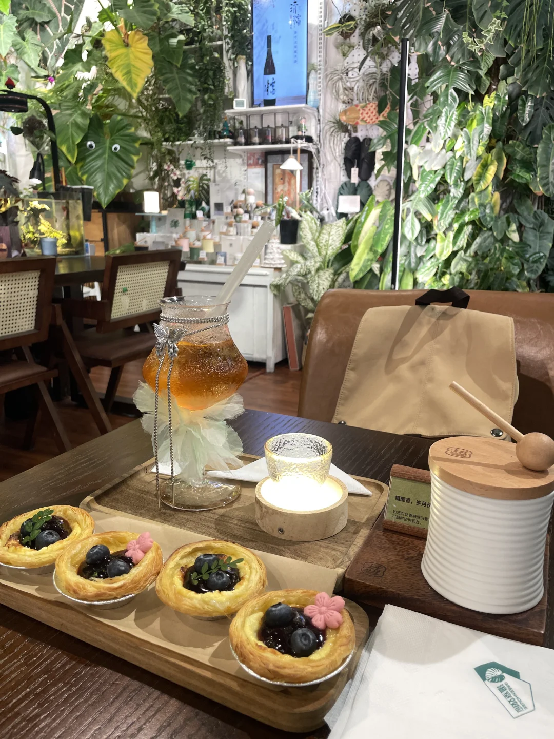 🌿闯入爱丽丝梦游仙境！