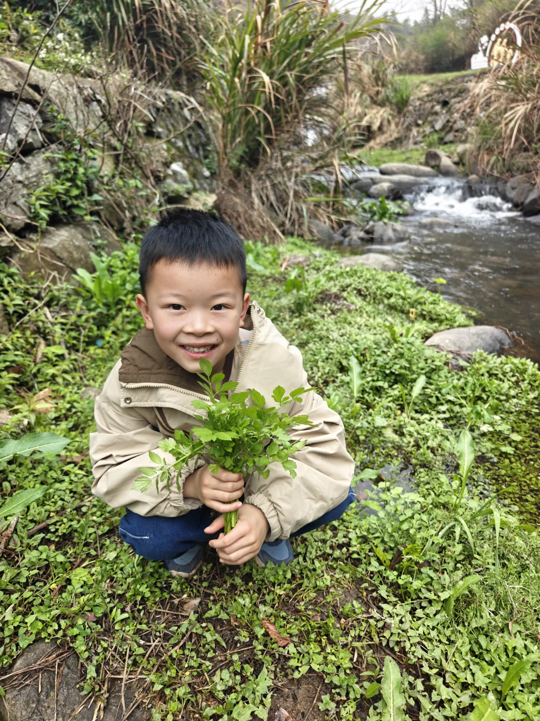 南昌遛娃🌿春天就要摘野菜