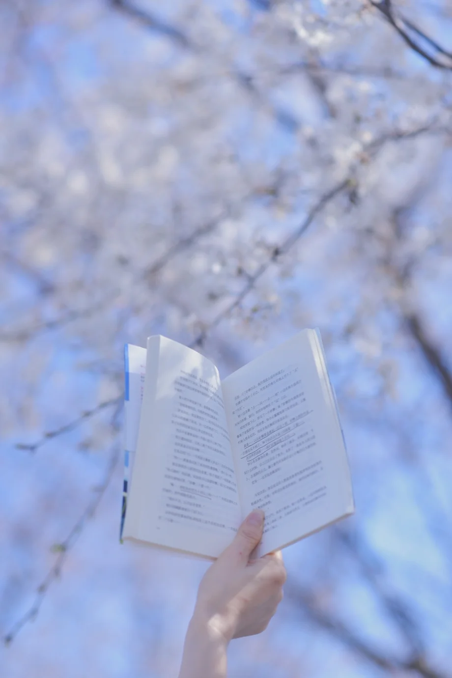 武汉樱花拍照圣地/人少景美好出片！！！