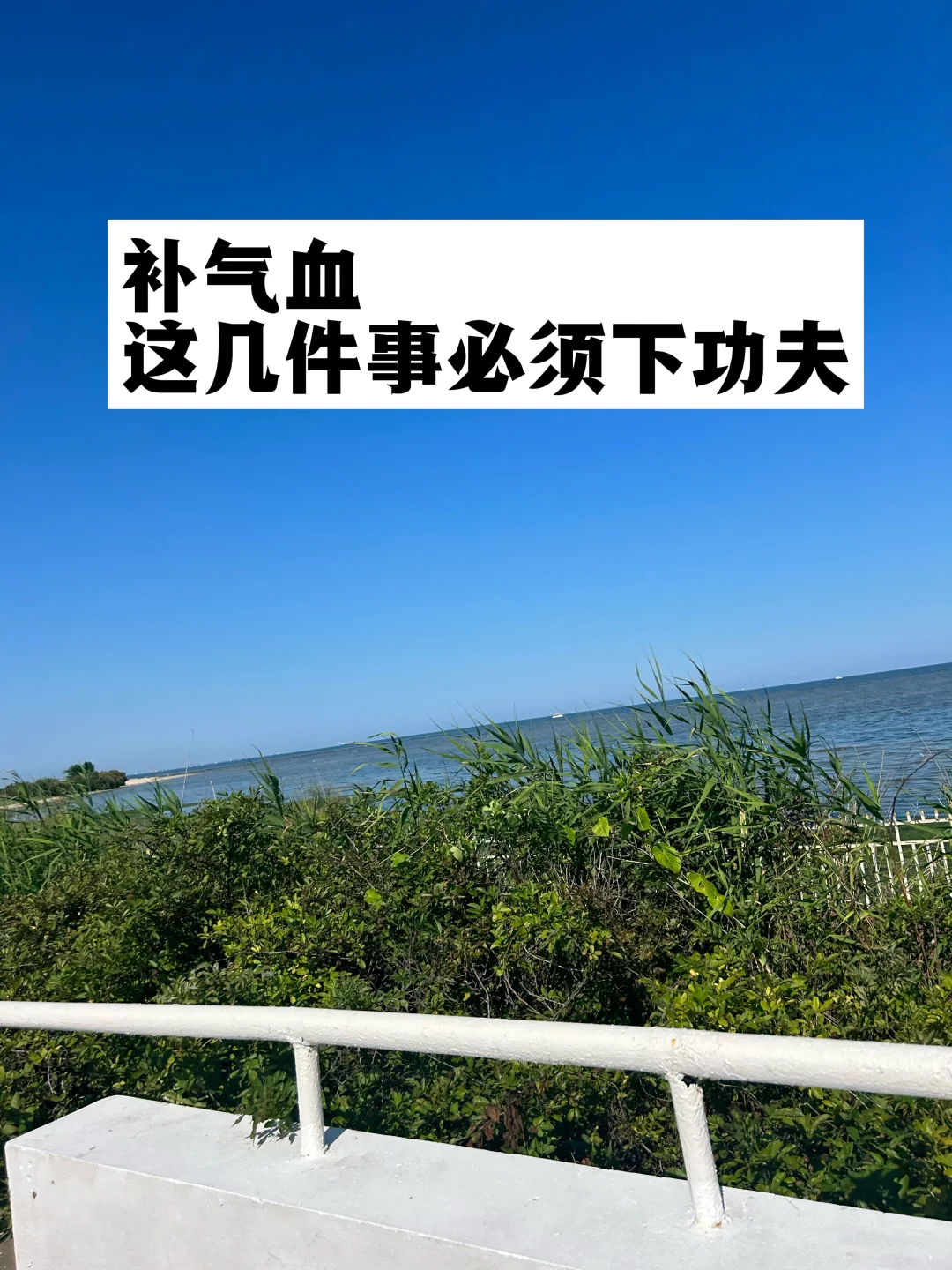 补气血，这几件事必须下功夫！