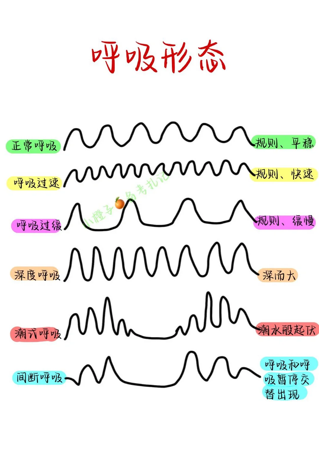 📖学习笔记｜基础护理学｜呼吸👃