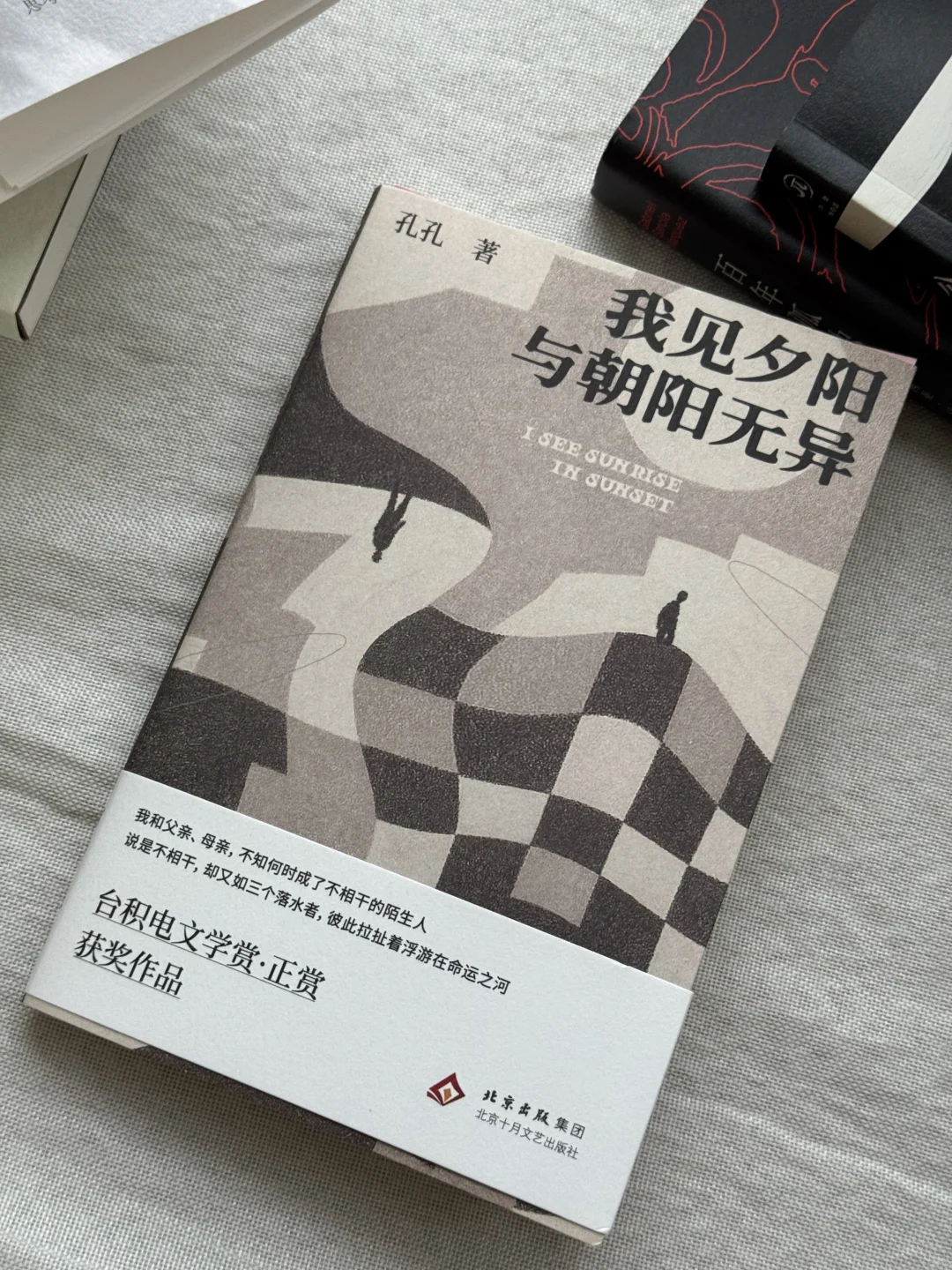我不再参与社会主流价值观的判定体系