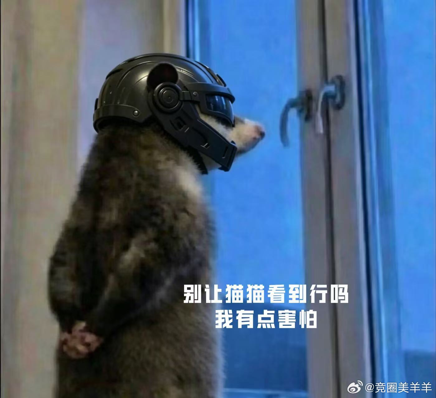 萌趣视角解锁电竞赛事，鼠鼠就位坐等PEL夏季赛开启。三日倒计时拉开序幕...