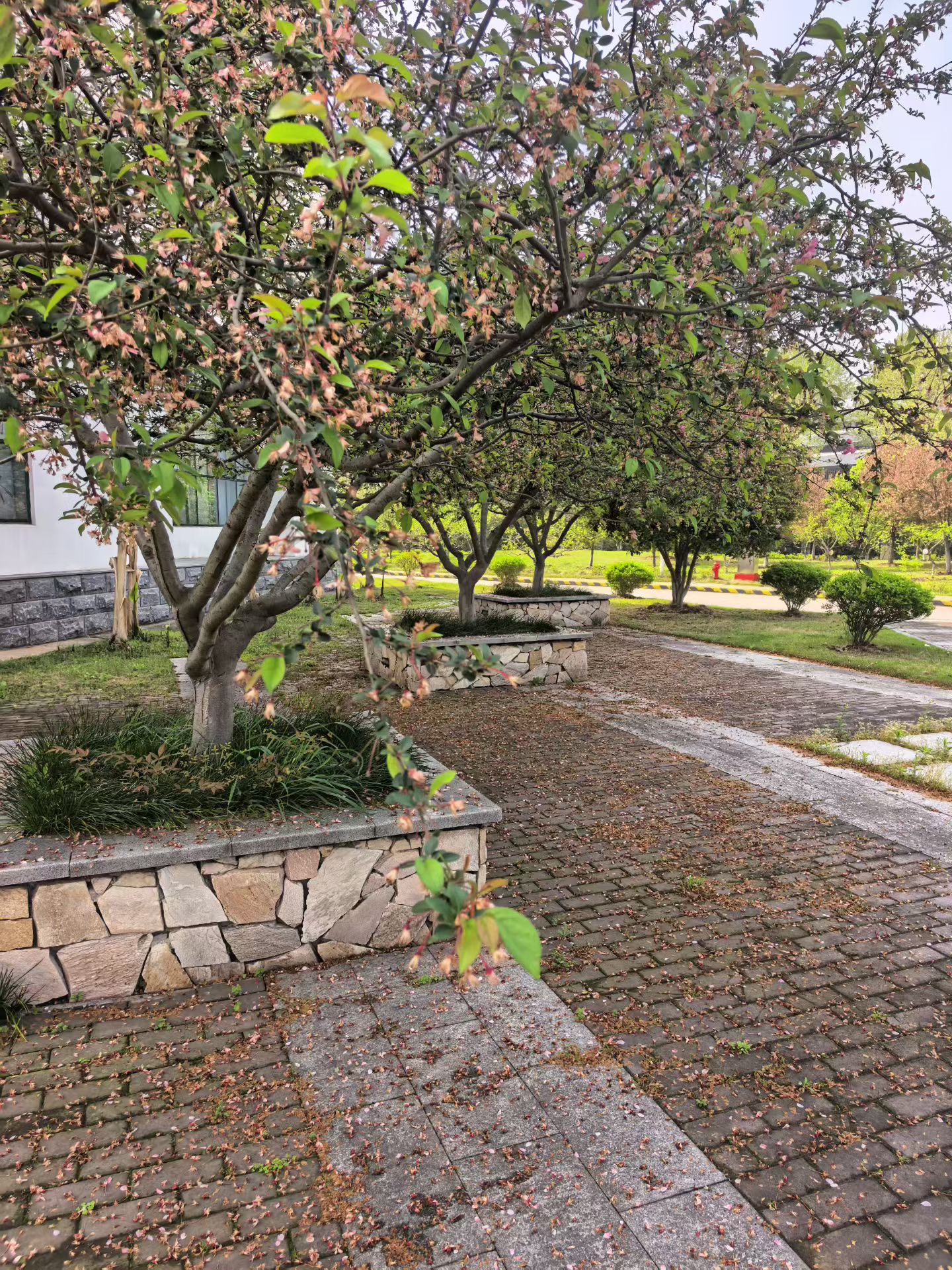 活塞队已从两年前的 28 连败逆袭为东部榜首，要在季后赛中突围，必须将...