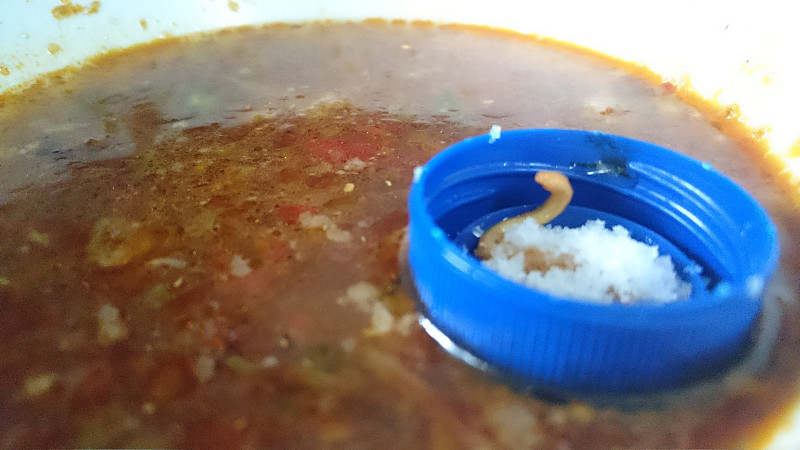 家里酱油长蛆？她两买海天生抽两次中招，厂家这样回应你服吗？
买回来的酱油，开封才一周，倒出来一看，瓶子里爬满了白色小虫，这画面想想就让人头皮发麻。这不是段子，而是江西南昌张女士的真实经历。
据《都市现场》报道，今年9月，张女士在小区附近的大润发超市买了两瓶500毫升装的海天特级金标生抽。用完第一瓶后