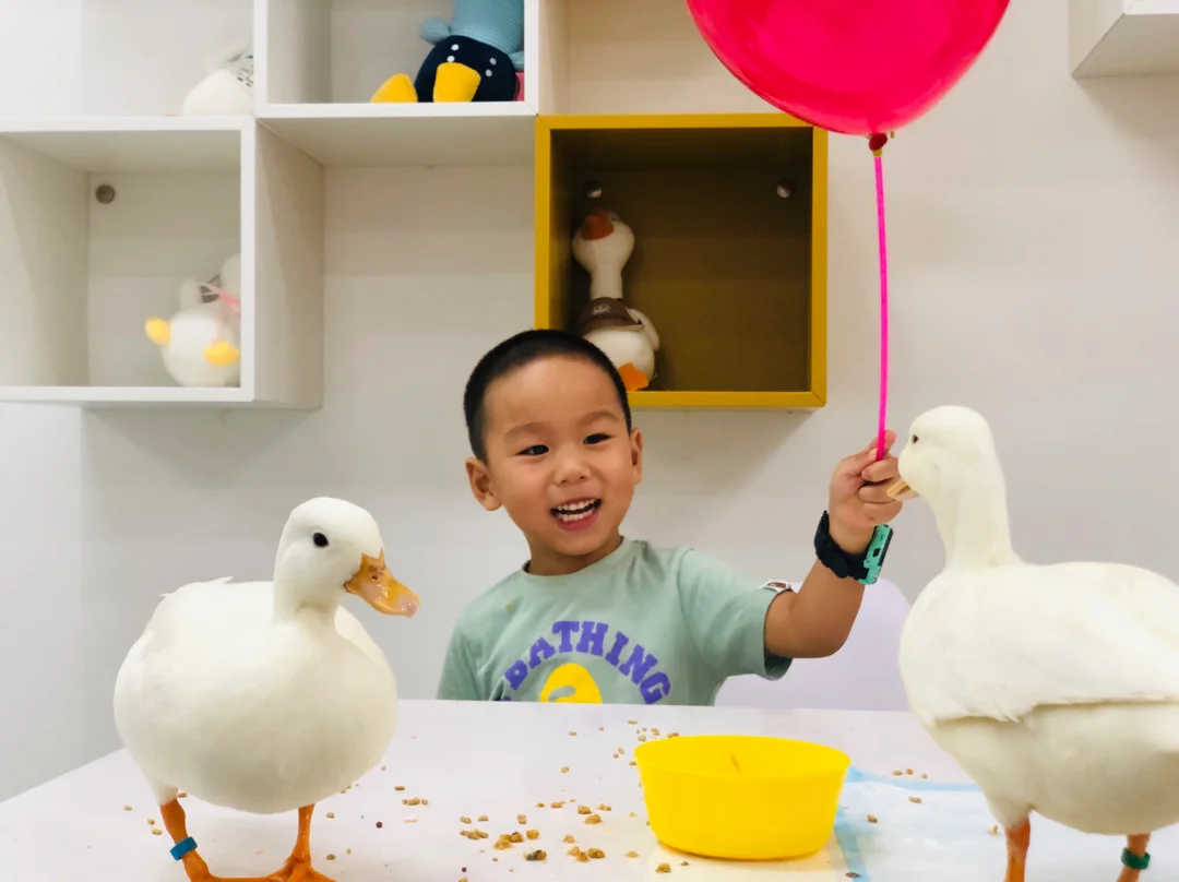 打卡｜大同柯尔鸭体验馆