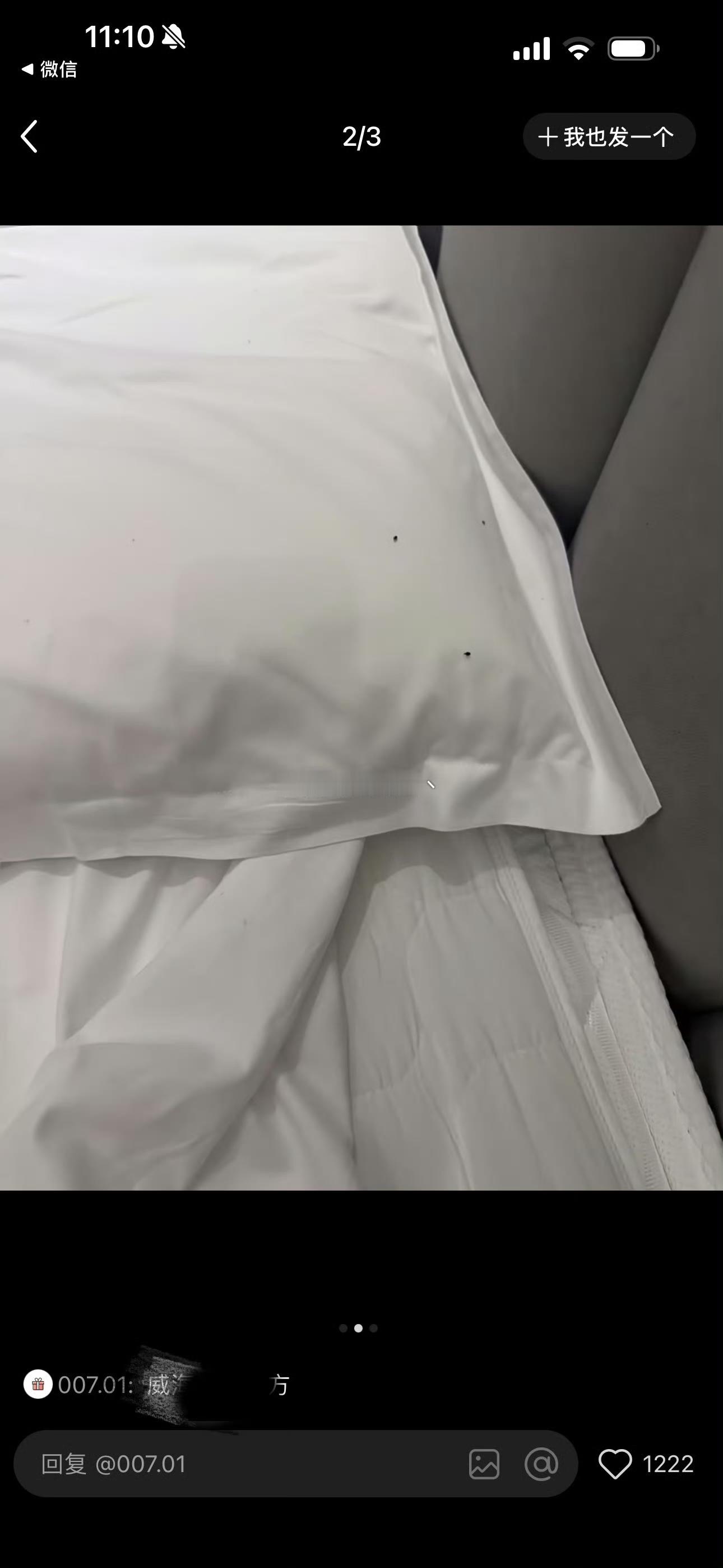 如何看酒店房间爬满床虱反呛住客亲身踩过坑，发现黑点一定要立刻换房，别将就