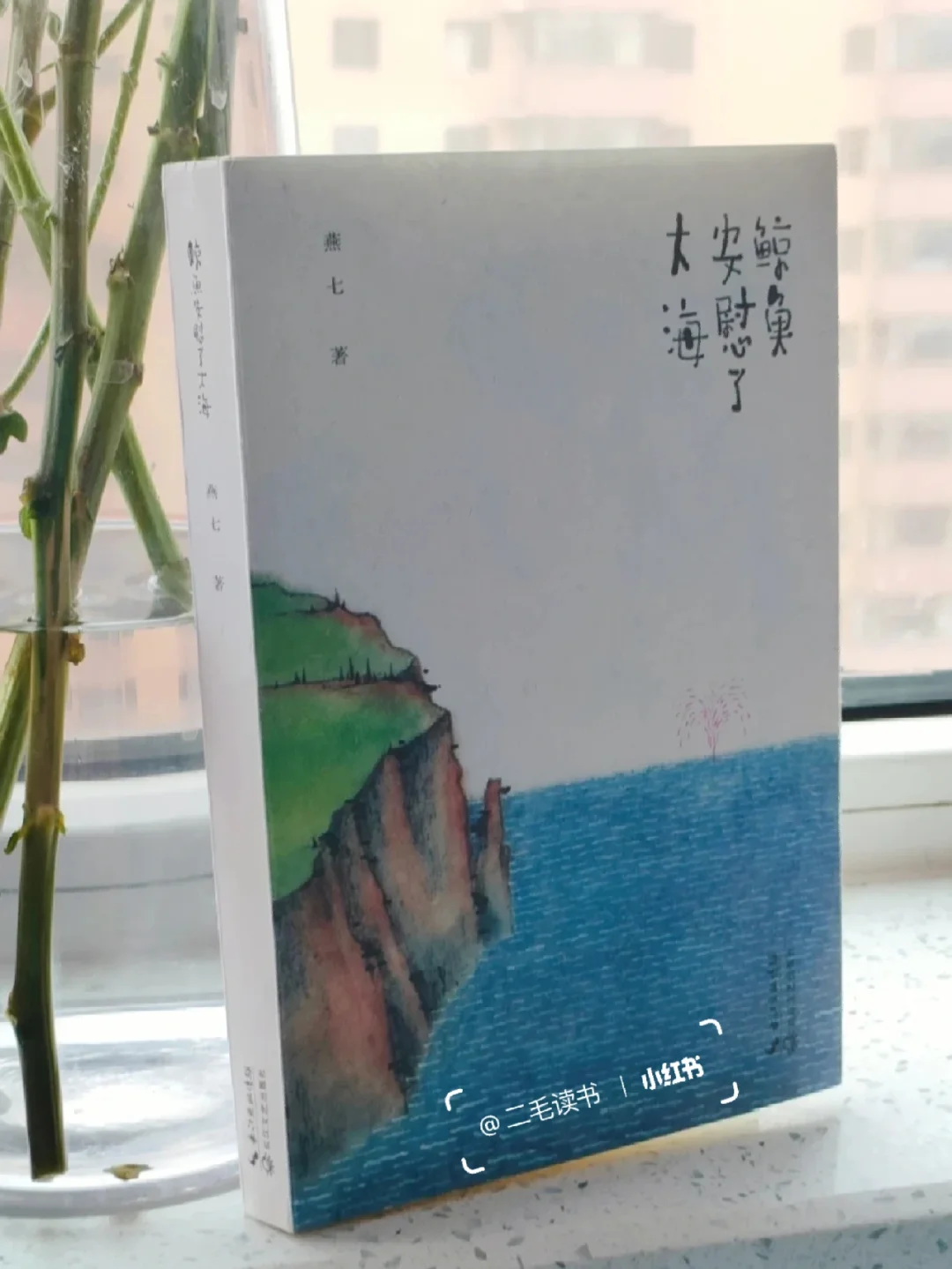 这本书惊艳到我了‼️真的想抄下来！！