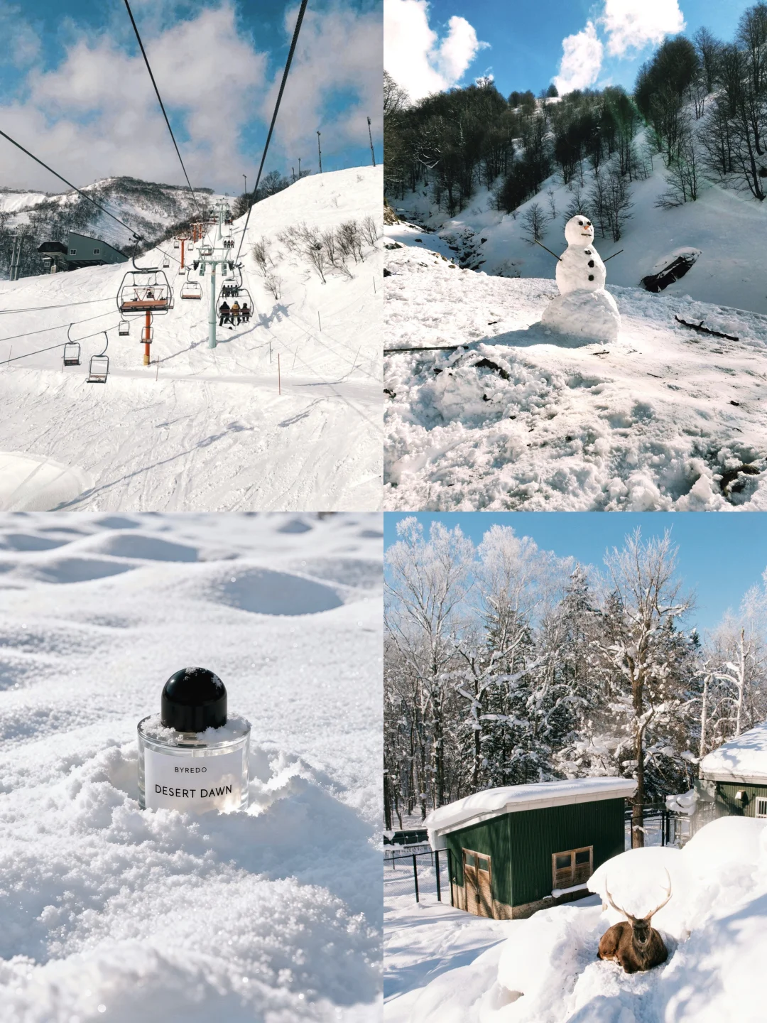 北欧假日里的温柔记忆