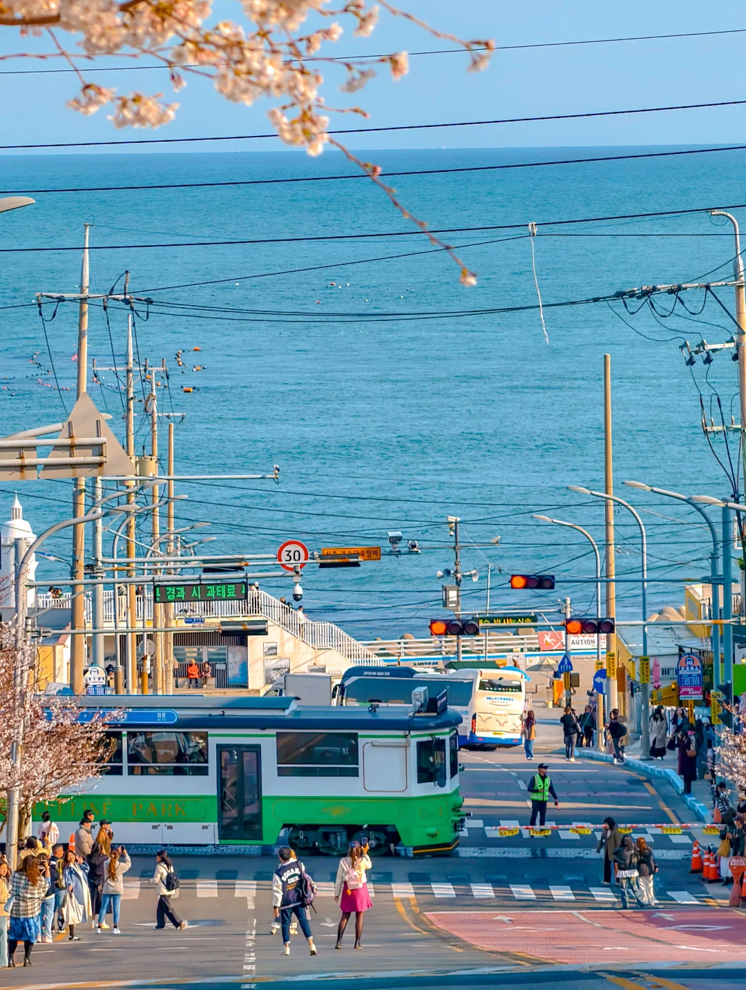 为了这16张图，五一要特意飞一趟釜山！