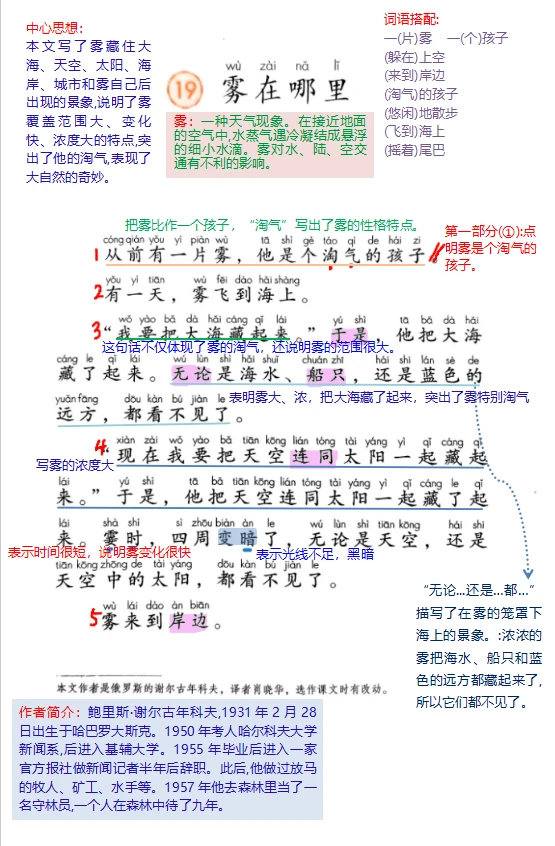 二上语文第19课《雾在哪里》详细笔记