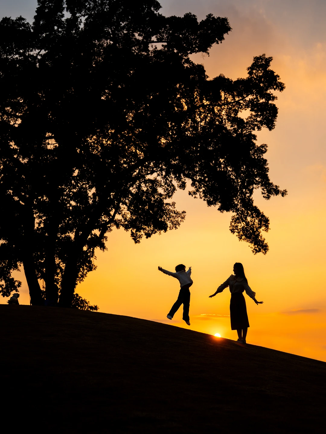 青秀山孤独的树随便一拍就是电影感