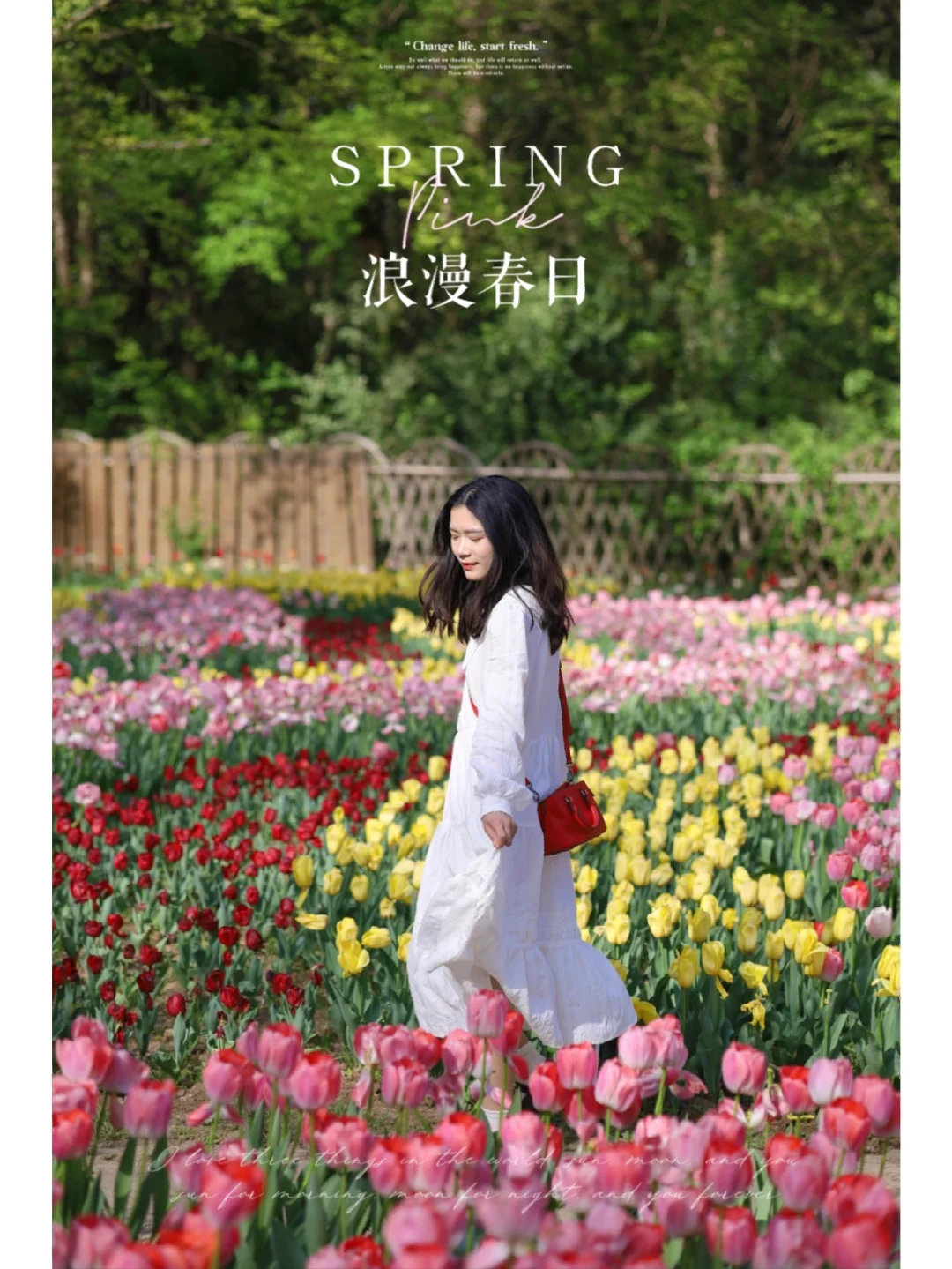 接下来的武汉，浪漫不止樱花❗️还有郁金香