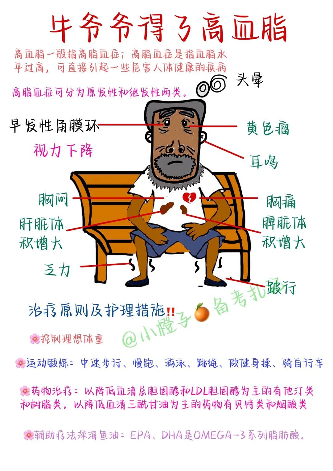 📖护师笔记｜内科护理学｜高血脂🧐