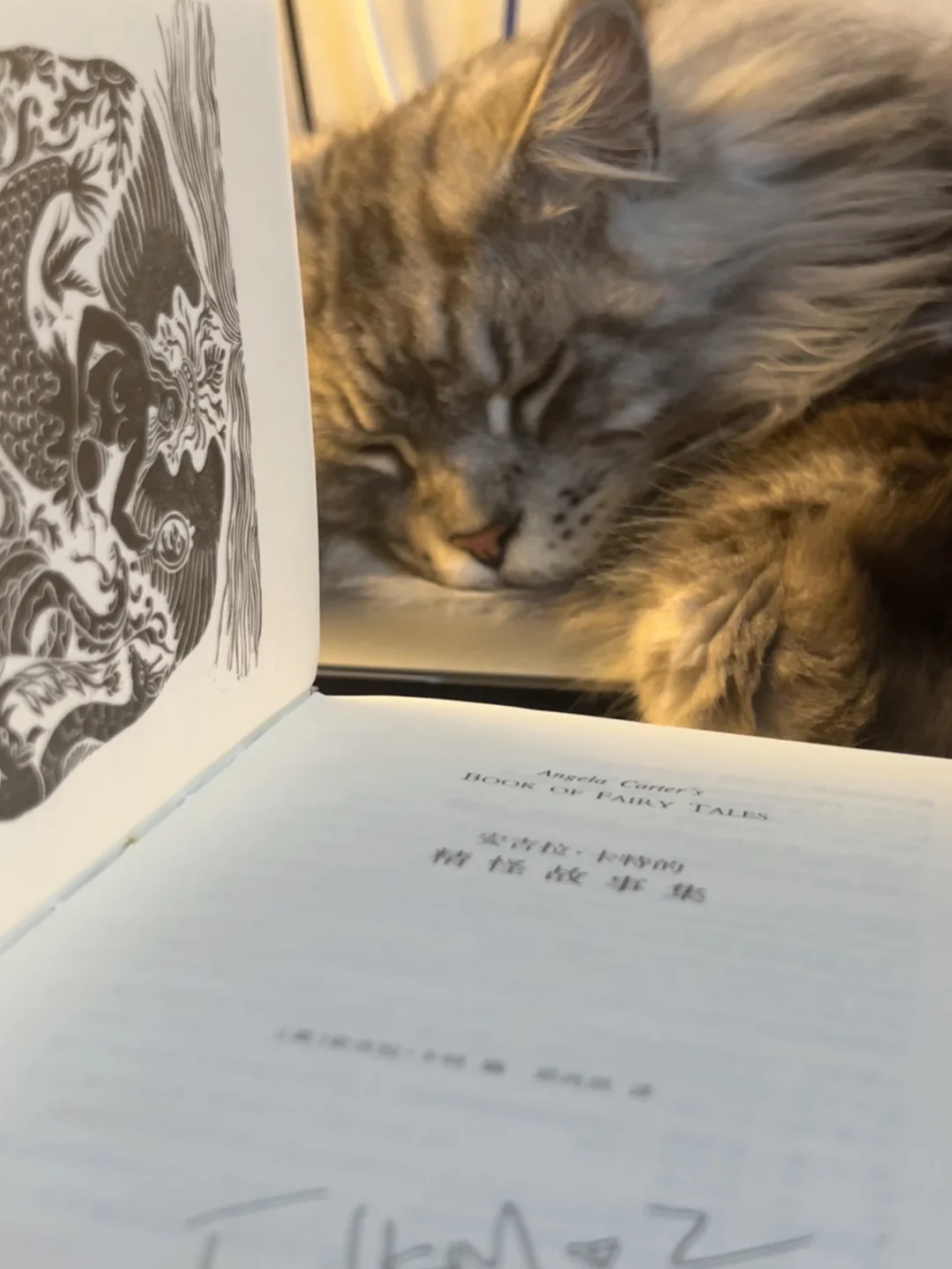 🥰谁懂这一刻的心情