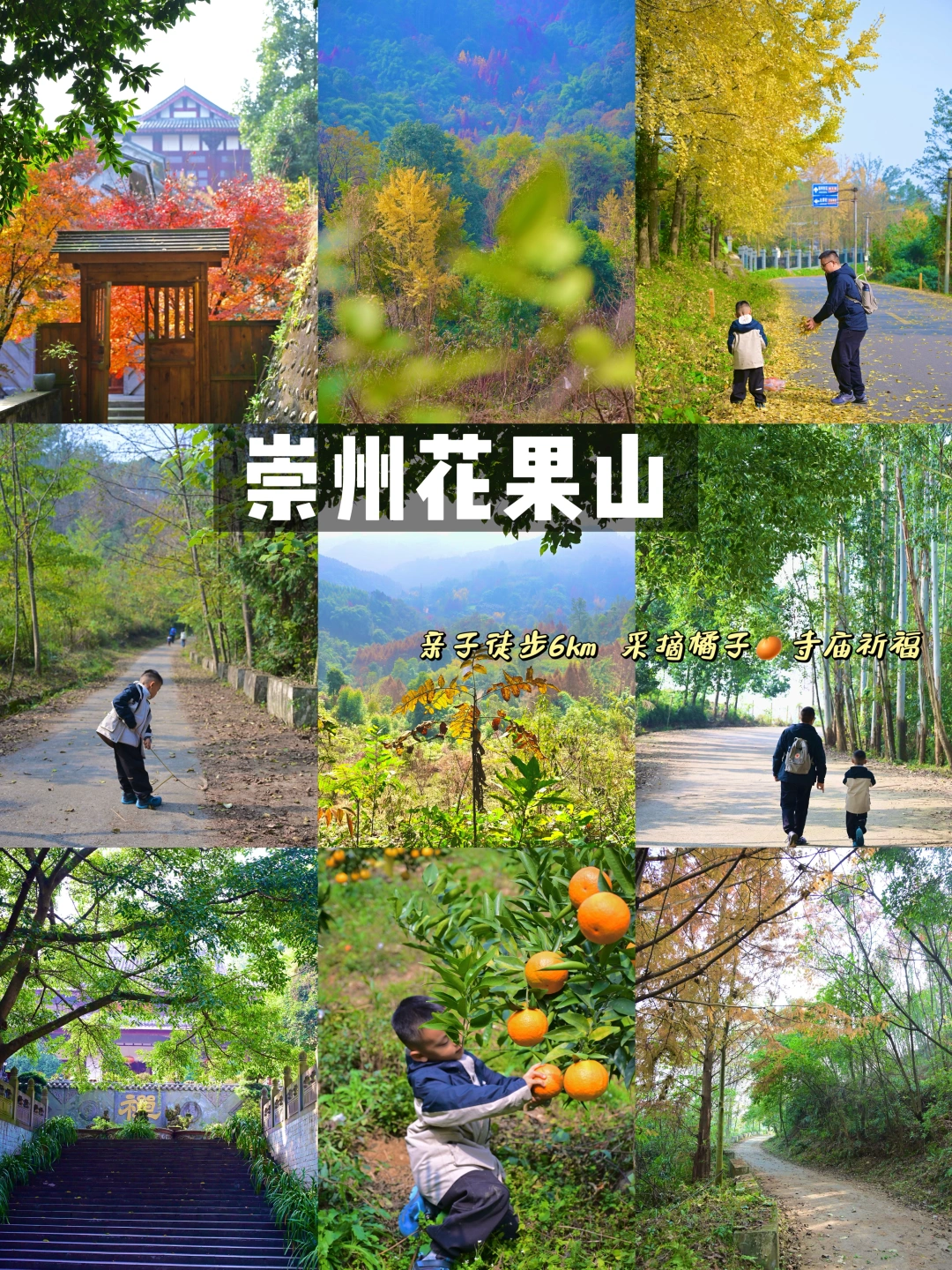 成都周边1h‼️超小众亲子徒步崇州花果山环线