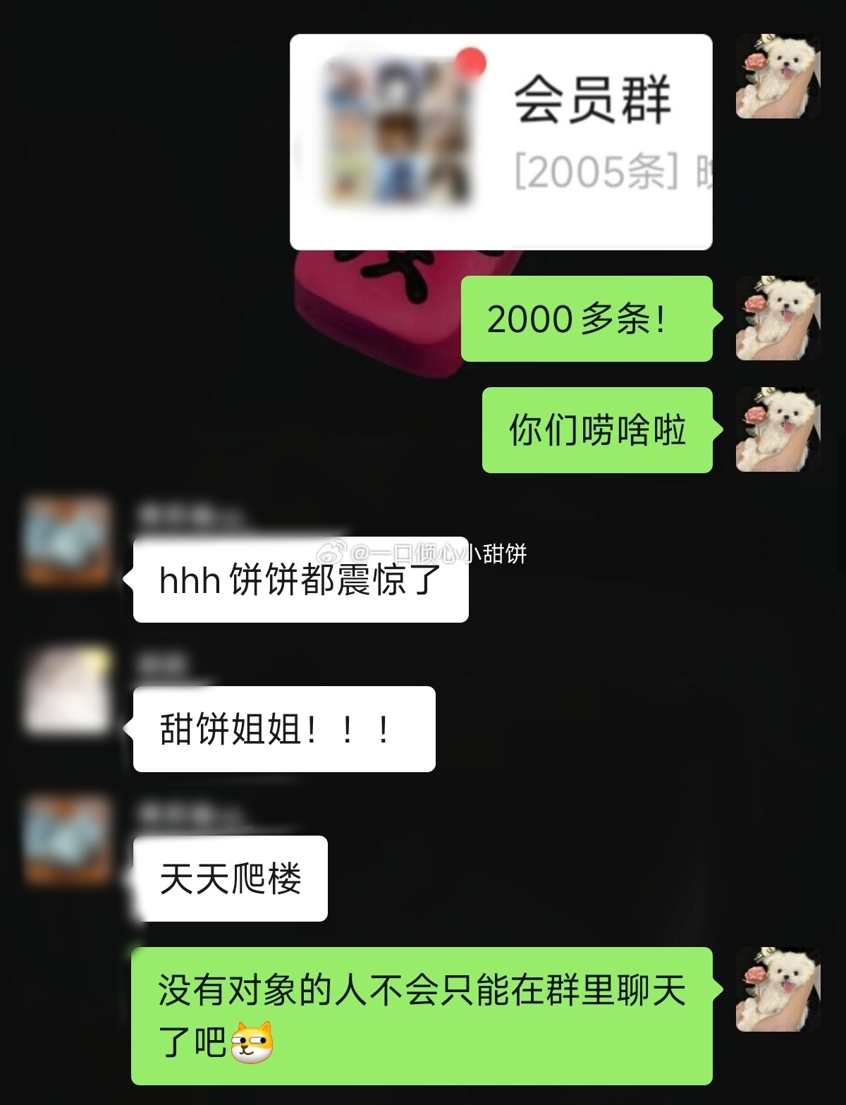 一打开群2000多条消息！ 我也就一晚上没看！ 没有对象的人不会只能在...