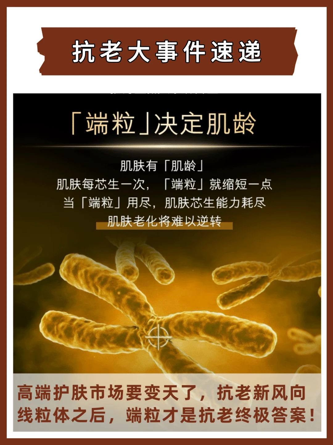 线粒体之后，端粒才是抗老赛道终极答案！！！
