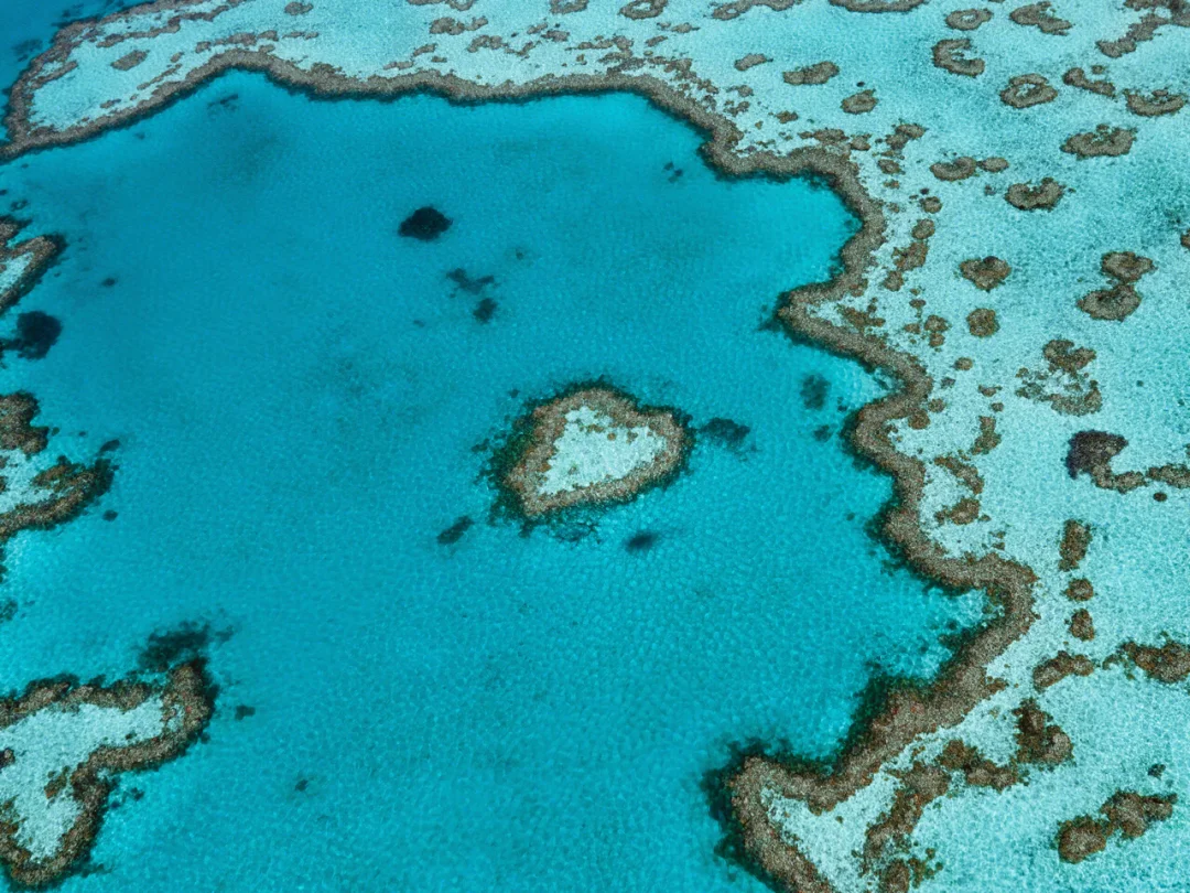 【圣灵群岛】澳洲最美的海岛，超详细攻略