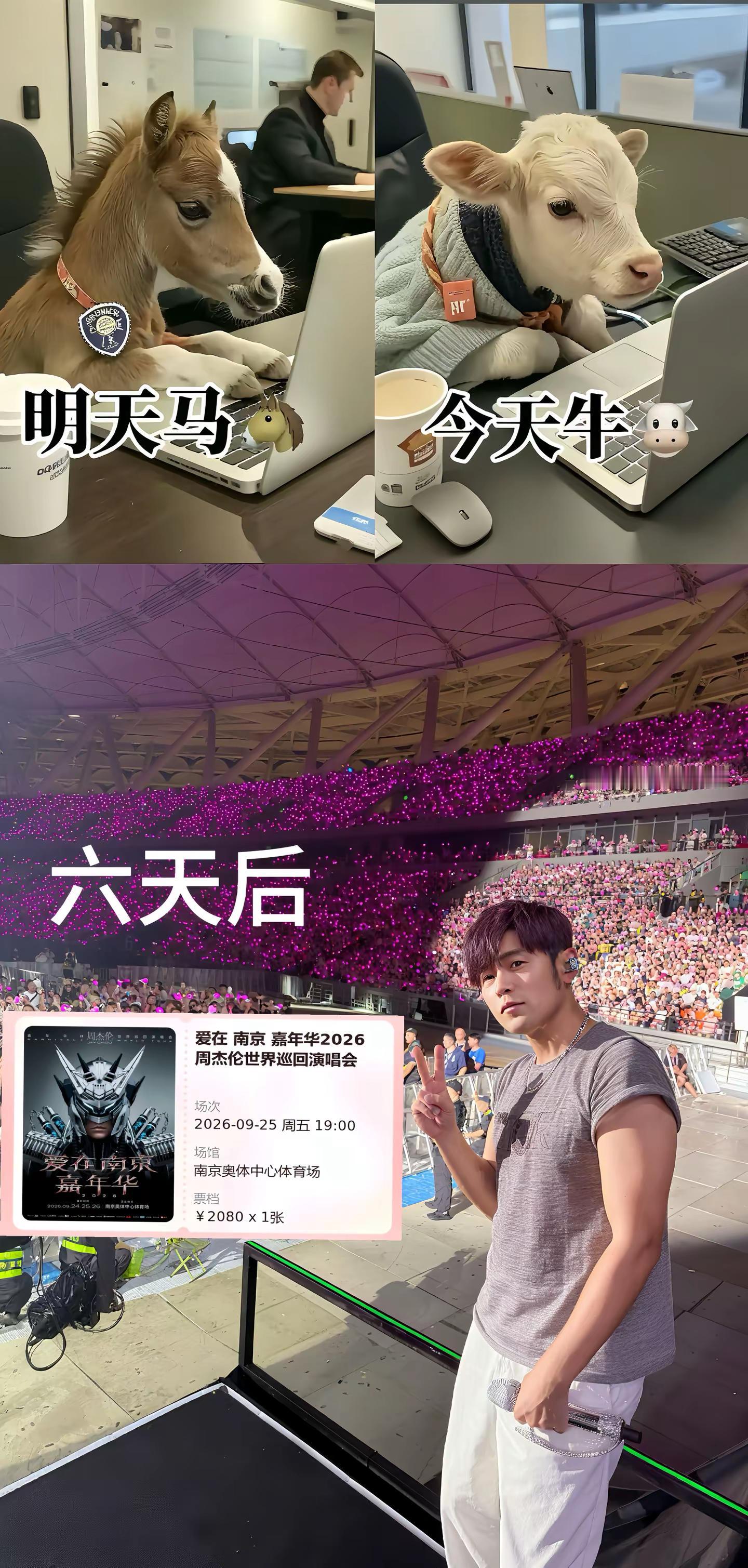 日子有盼头了。今天牛马明天演唱会 没有不看演唱会的义务 打工人日常 周杰伦演唱会