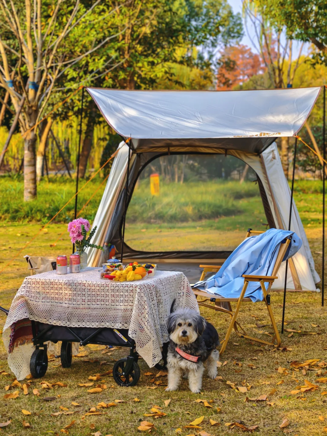 🏕️逃离人海！私藏免费小众露营地无脑冲