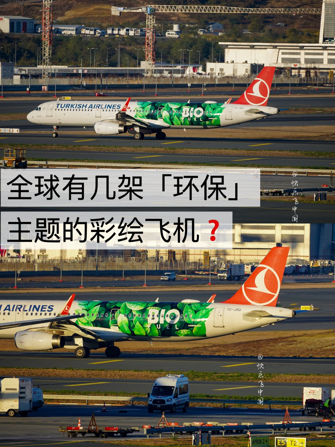 全球有几架「环保」主题的彩绘飞机❓