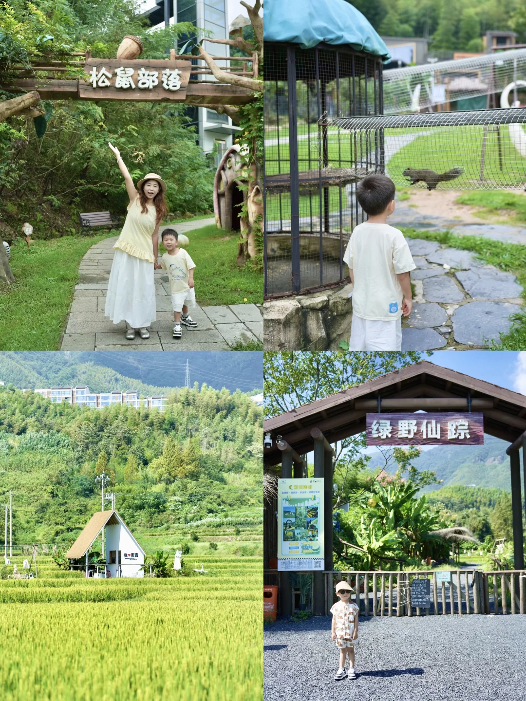 在安吉松鼠部落一站式躺平遛娃遛娃全攻略