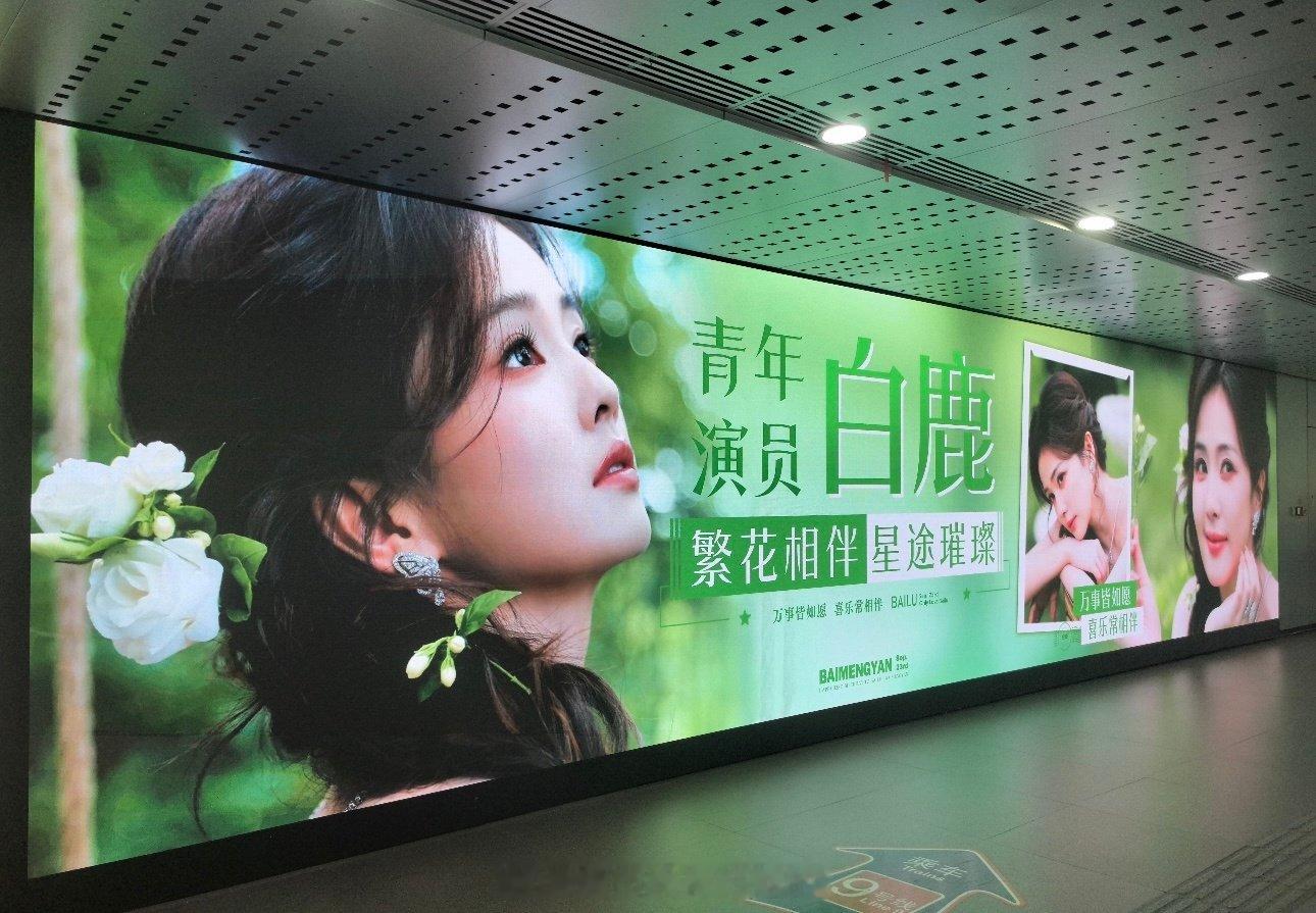在出道十周年与三十二岁生日交汇的节点，白鹿在采访中坦言自己从“不敢停下来”到学会“允许一切发生”。当前正值白鹿出道十周年与三十二岁生日（9月23日）的交汇点，她的核心状态是一次阶段性的自我沉淀与心态转