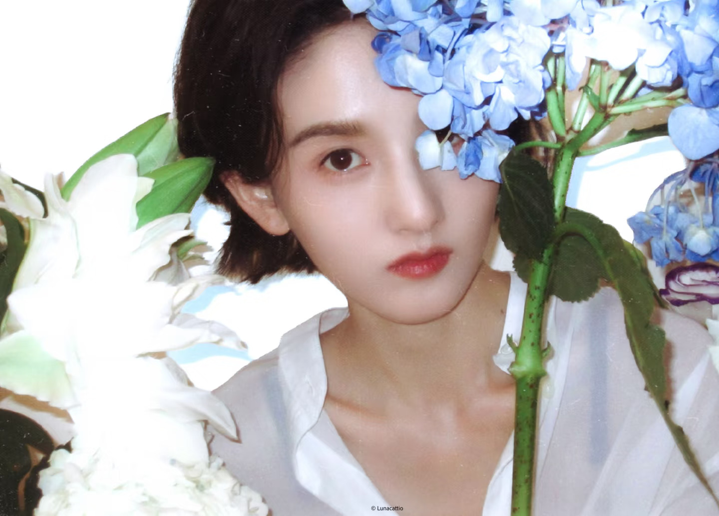 凡清