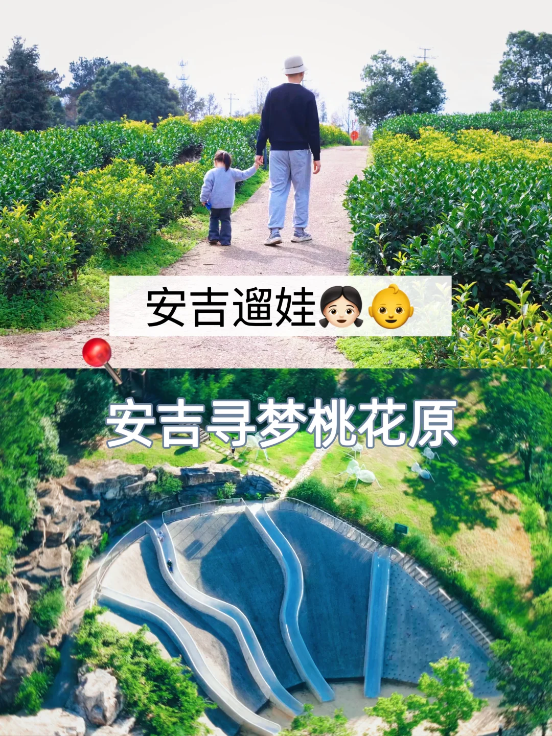 安吉旅游| 春节带娃安吉挖笋 不错👌