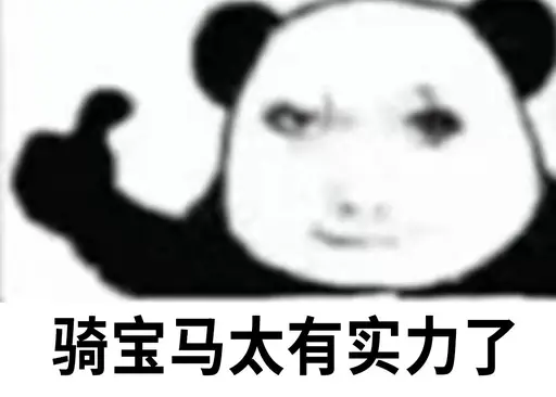 真正的宝马。