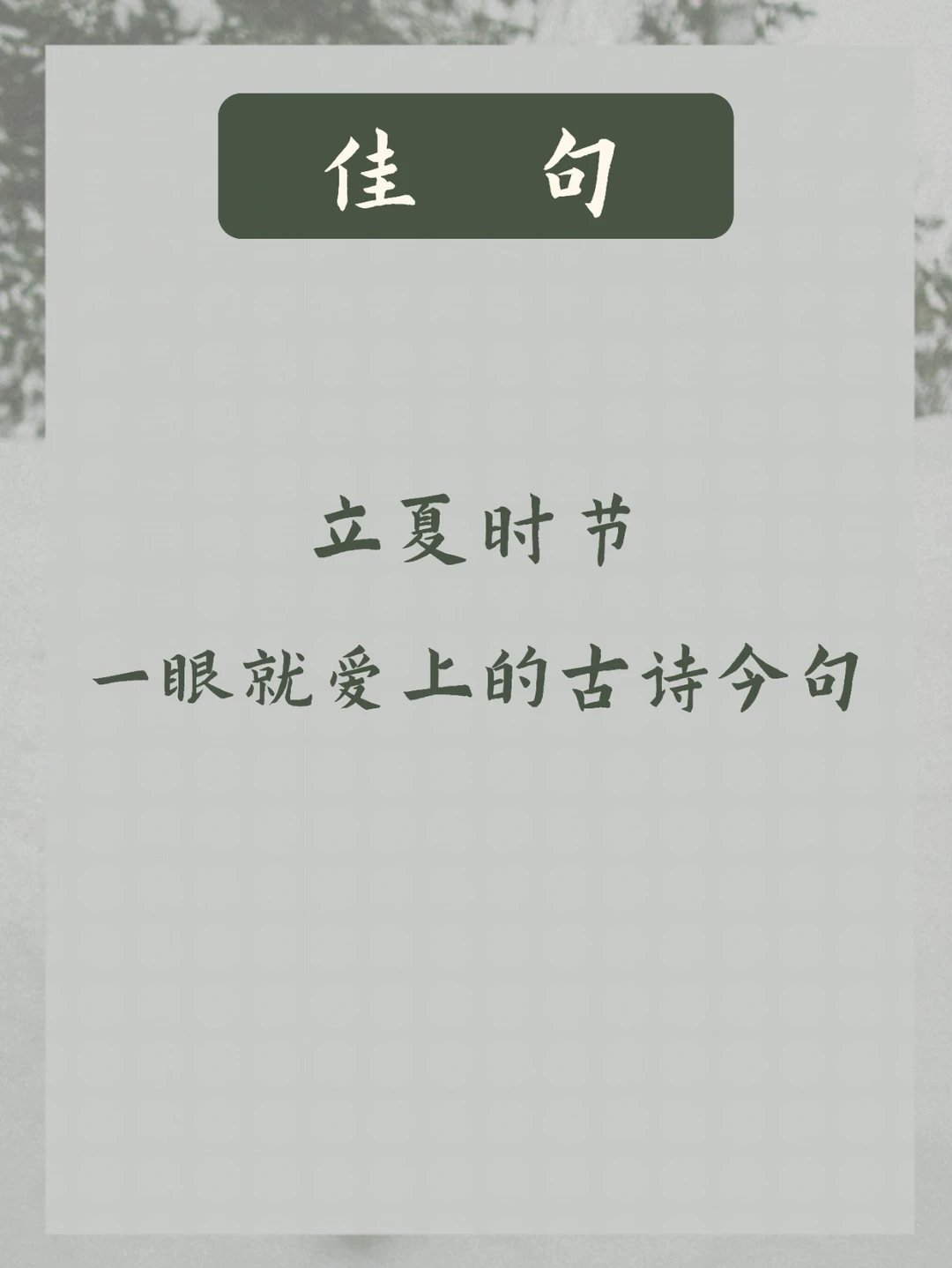 立夏文案 | 春风取花去，酬我以清阴