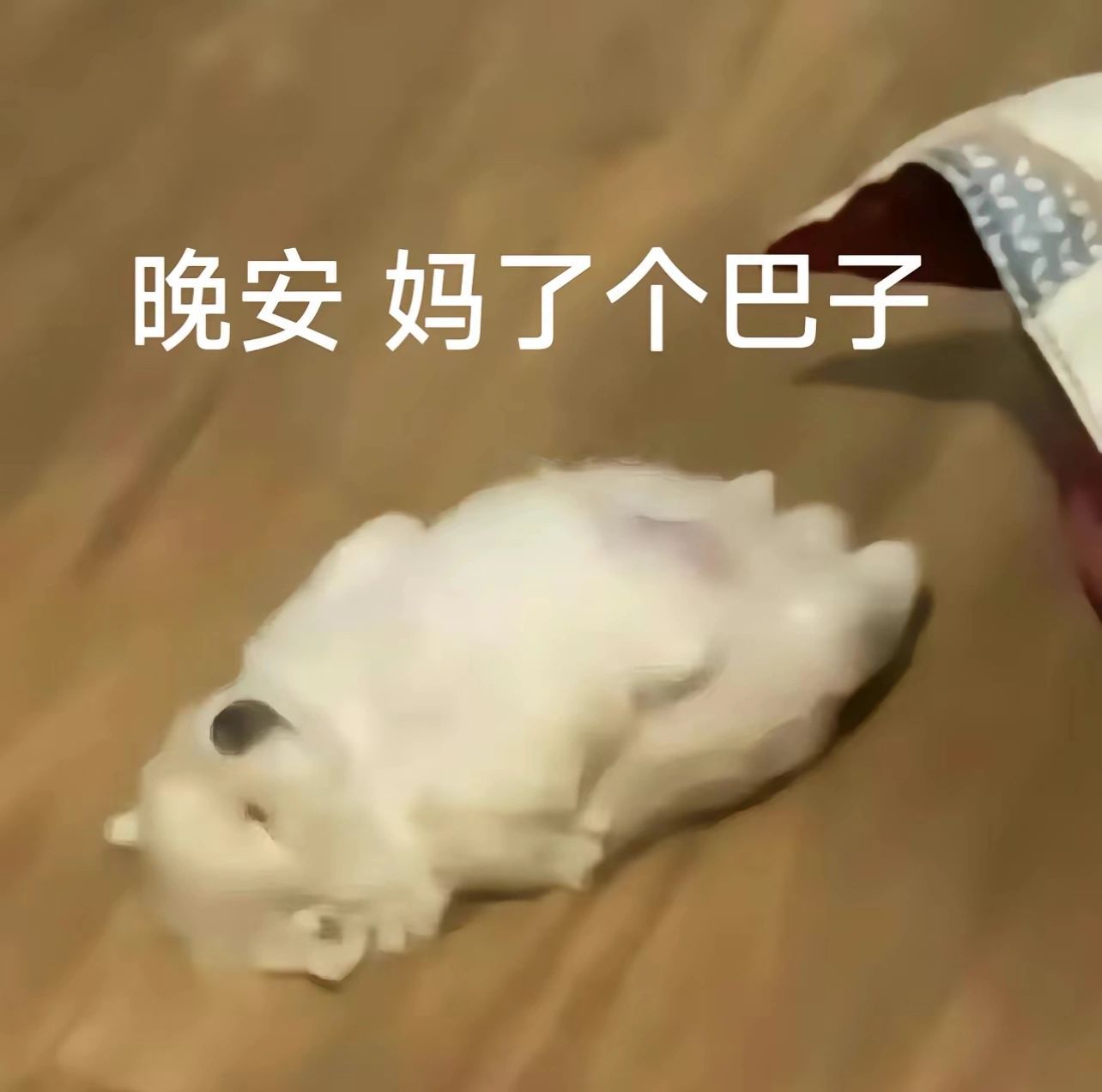 沙雕表情包又增加啦～