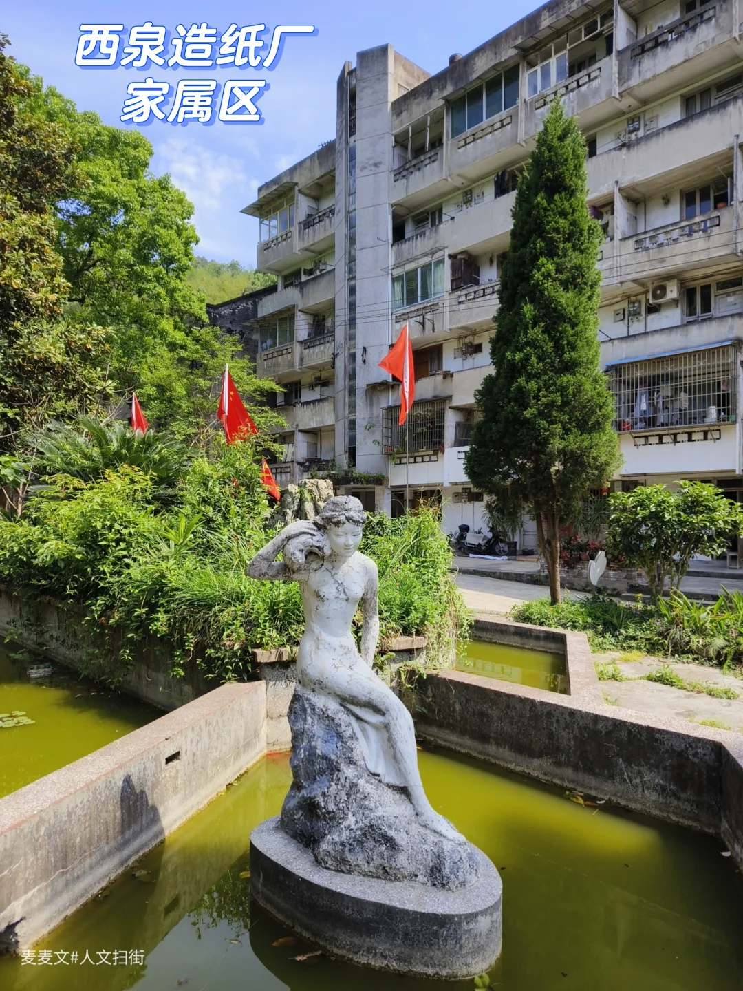 【铜梁】西泉造纸厂家属区还像1990年