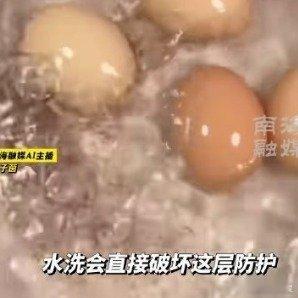 #一家三口吃水洗鸡蛋后集体中毒##千万不要用水洗鸡蛋# 洗掉了鸡蛋的保护膜，倒容易中毒。画蛇添足，多此一举。 ​