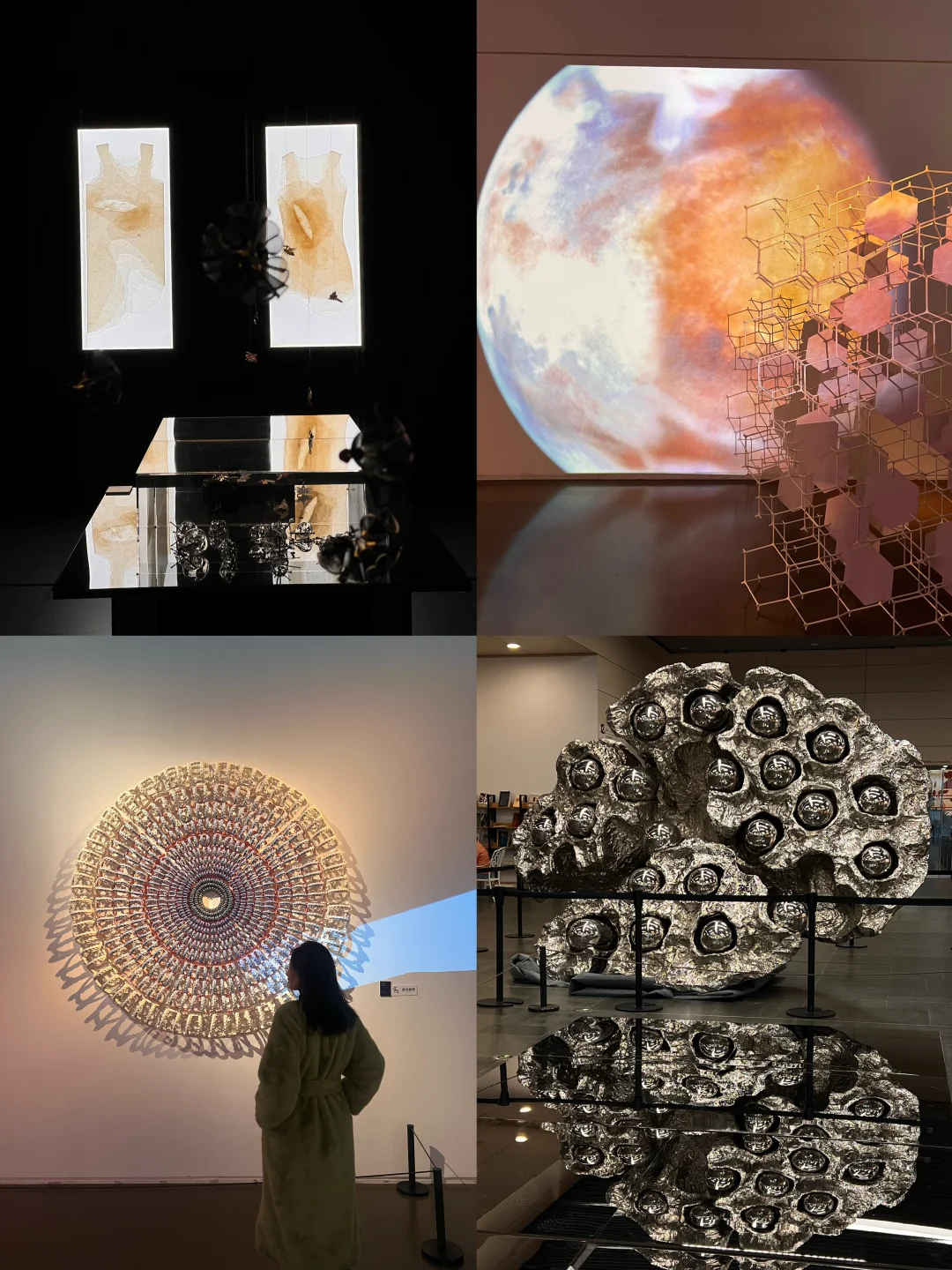 过年来上海别错过这个免费🆓大展！