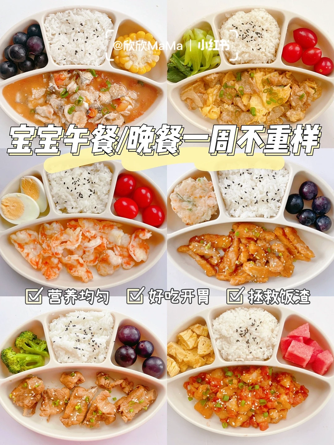 1岁+辅食｜宝宝午餐晚餐一周不重样｜营养搭配