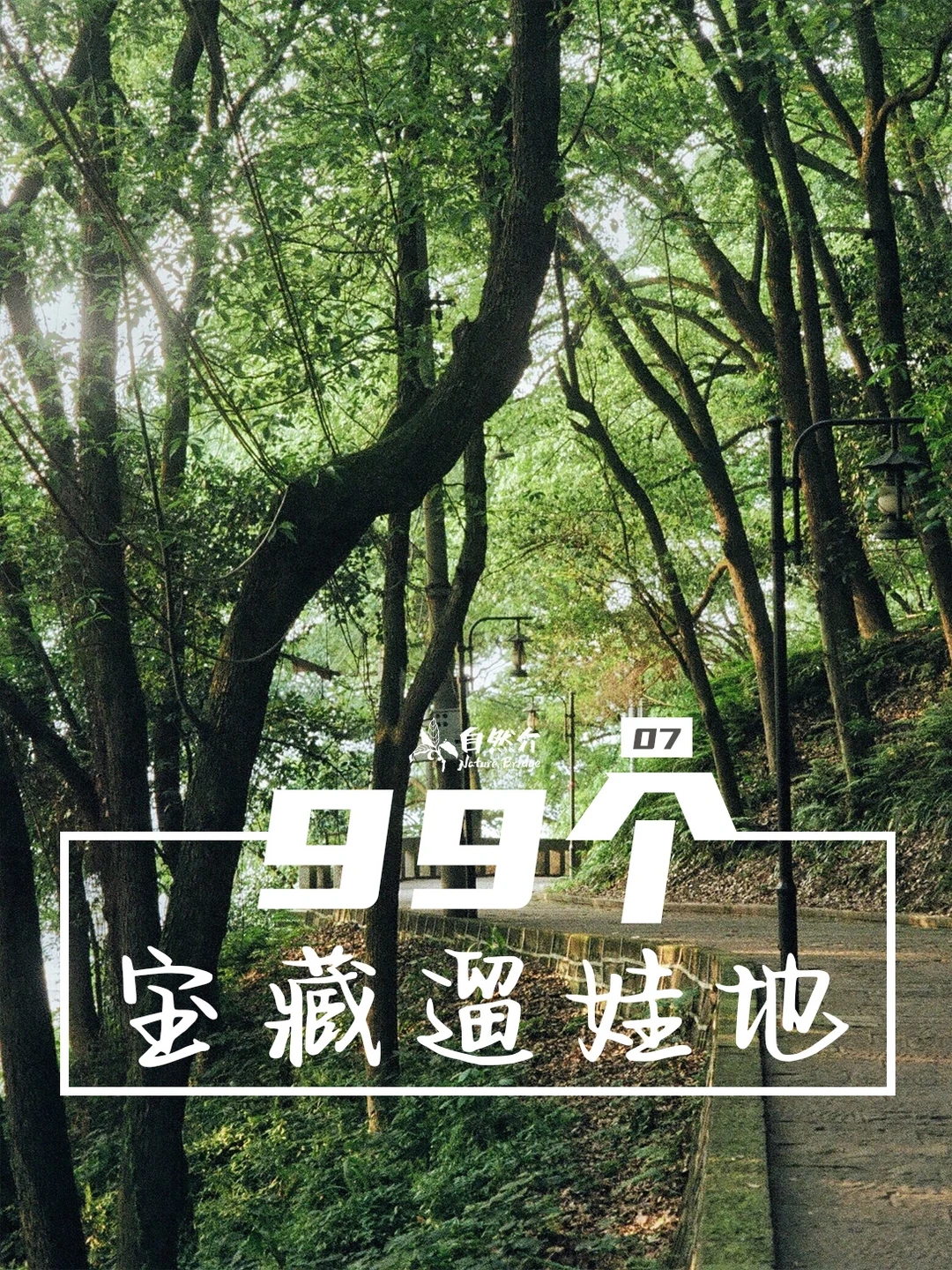 打卡99个宝藏遛娃地-黄葛古道