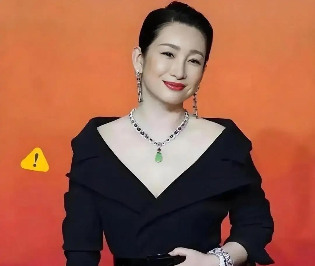 每个月雷打不动，手机一震，一笔五位数的转账就发到了婆婆的账上

底下永远跟着一条不长不短的附言：“妈，这是新军和我一起给您的”

这种转账，秦海璐硬生生坚持了11年

一年十来万，在明星眼里可能连个包都买不到，但这笔钱背后的心思，却把一个人性里最难解的疙瘩给解开了

你要是觉得这不过是阔太太拿钱买消