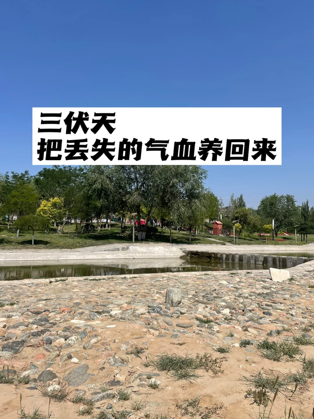 三伏天，把丢失的气血养回来.