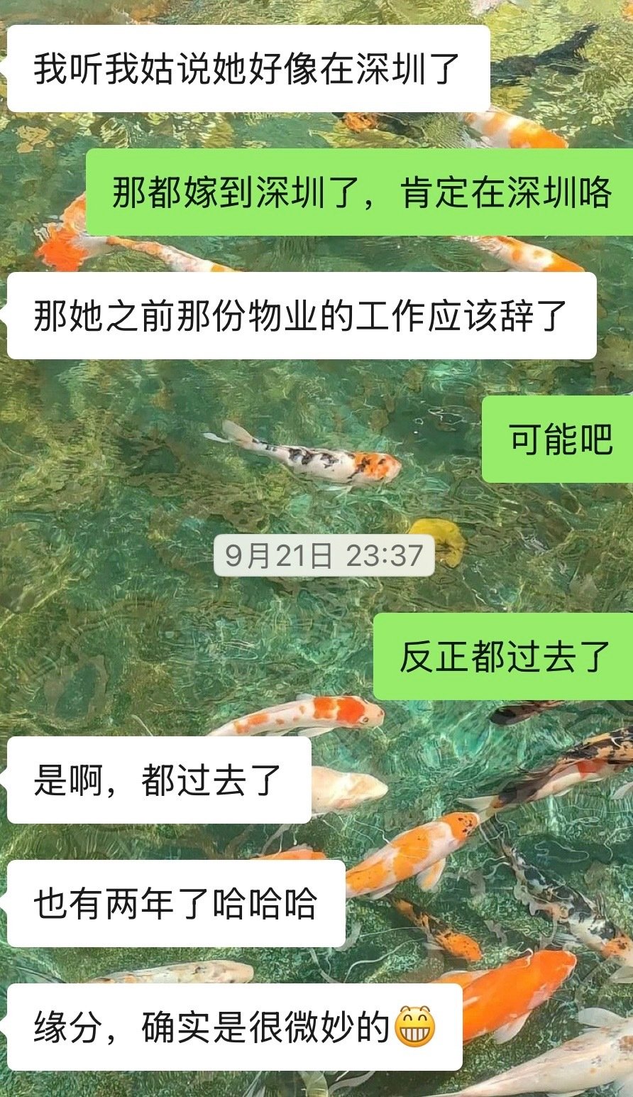 感觉相亲对象怪怪的 [哆啦A梦害怕] ​