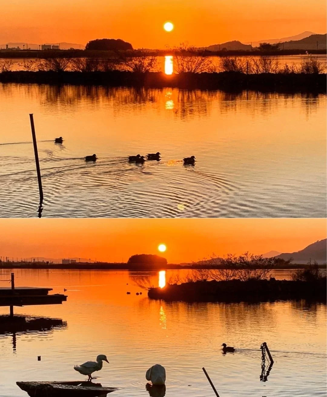 日本滋贺县｜享受一下安静的时光也不错啊