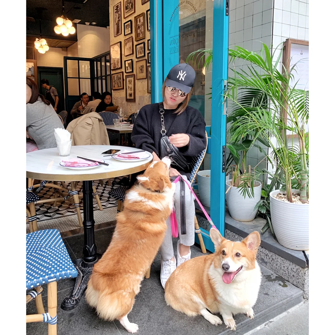 香港探店|湾仔星街月街附近法式风情的越南菜fusion