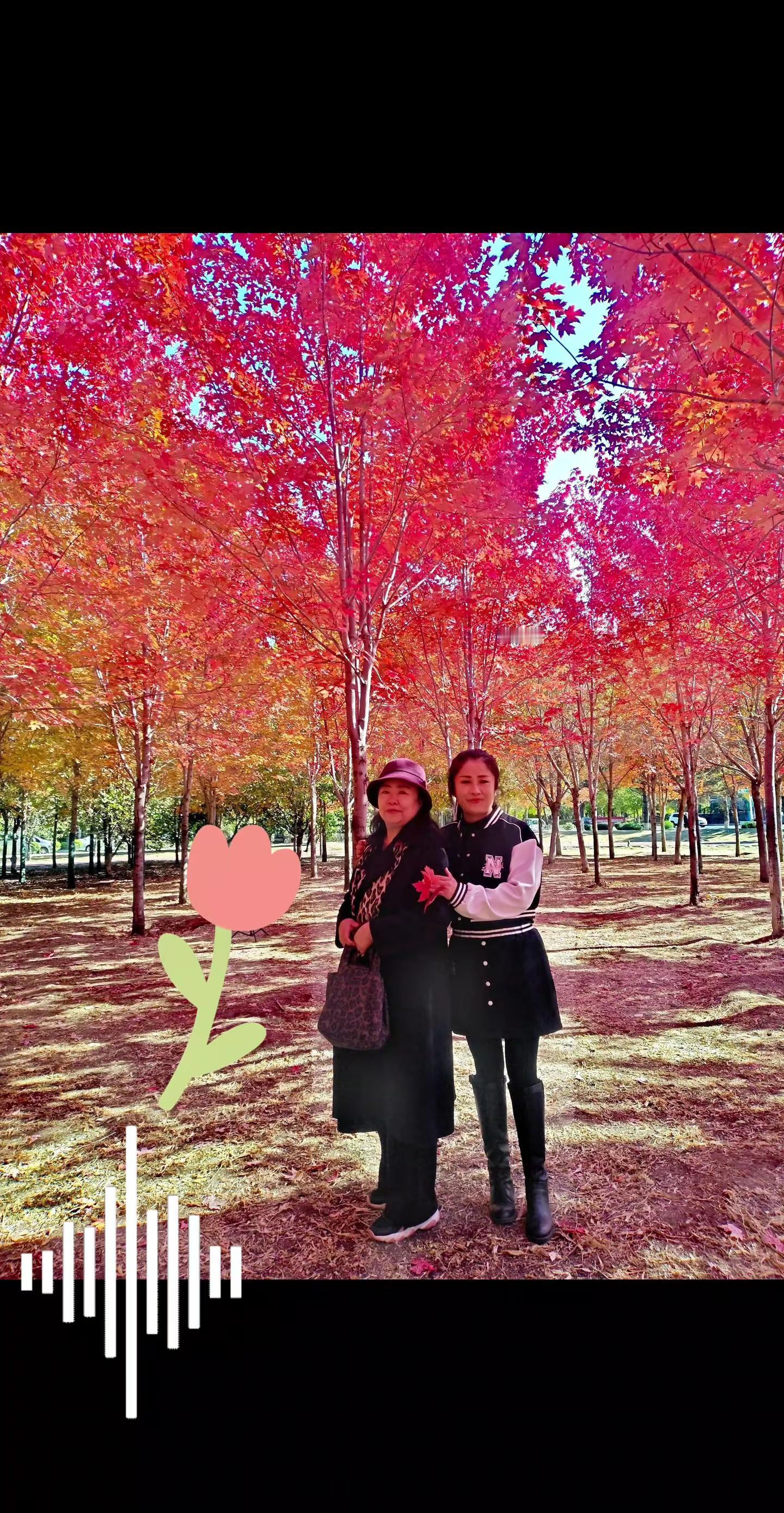 感谢一位美阿姨