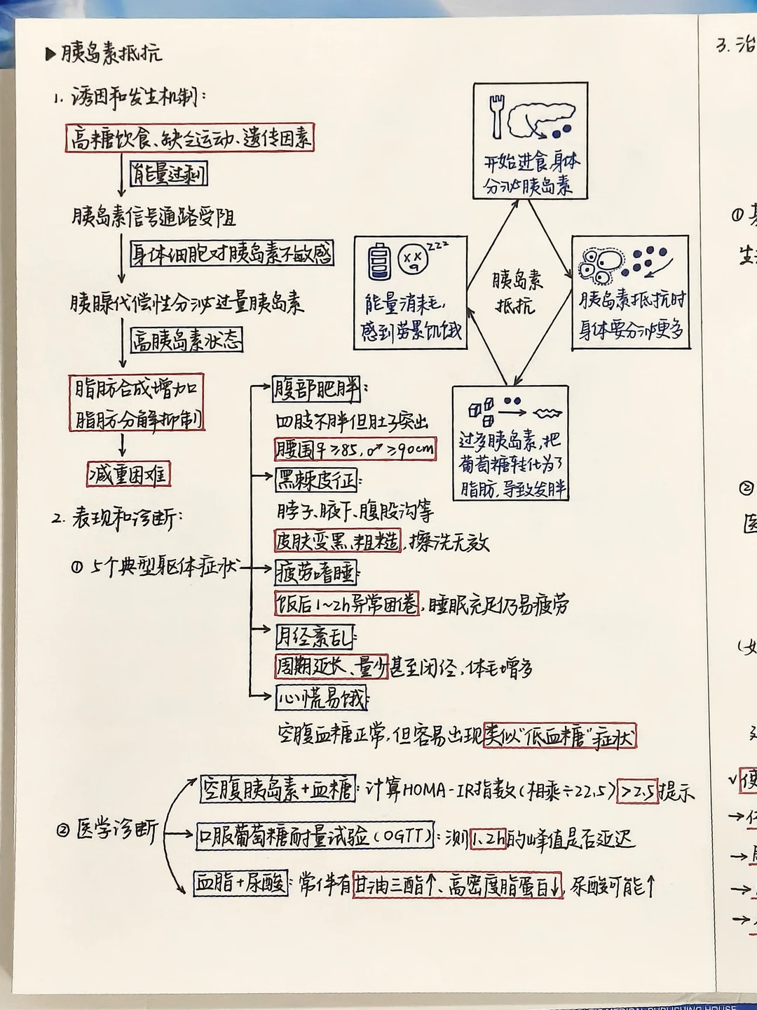 医学生笔记 | 🍬胰岛素抵抗最新改善方法